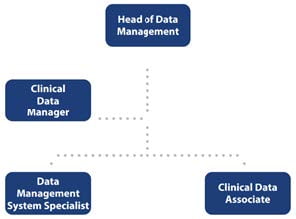 Examination of Roles in Data Management in Clinical Research
