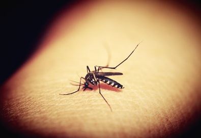 US Enhances Malaria-fighting Toolkit